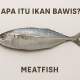 ikan bawis