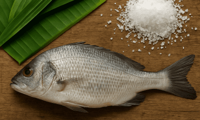 cara menyimpan ikan tanpa lemari es