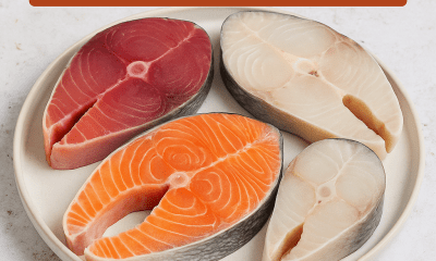 ikan yang cocok jadi steak