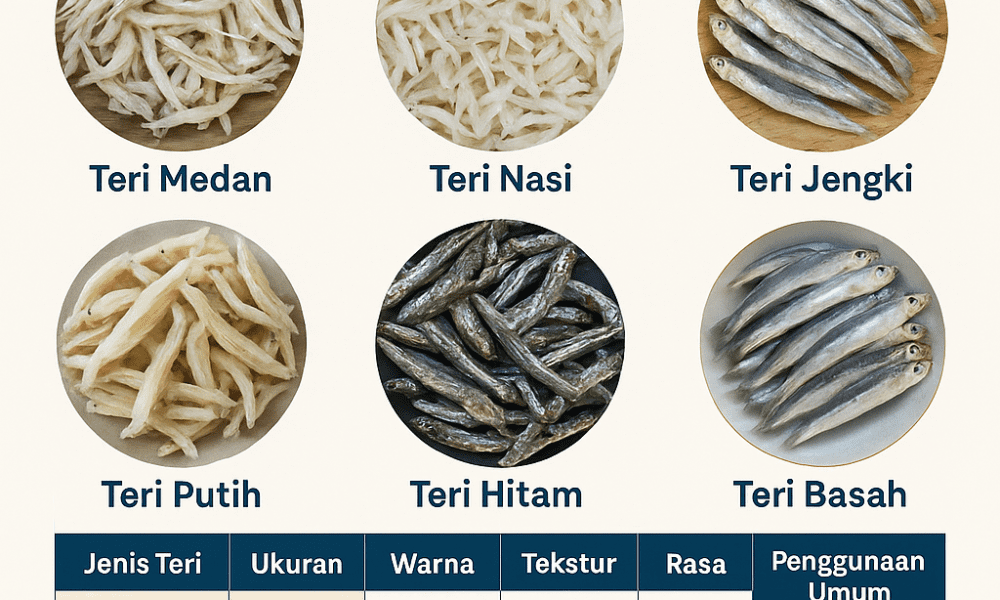 jenis ikan teri dan perbedaanya
