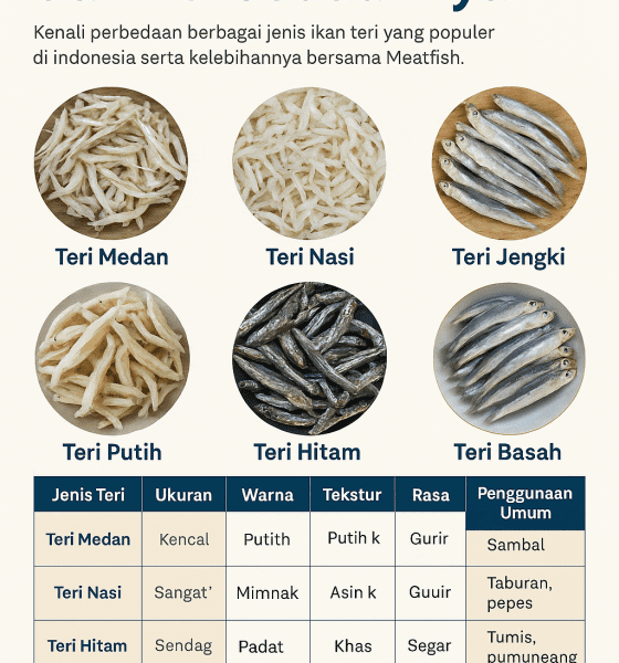jenis ikan teri dan perbedaanya