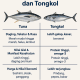 beda tuna dan tongkol