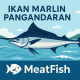 ikan marlin Pangandaran