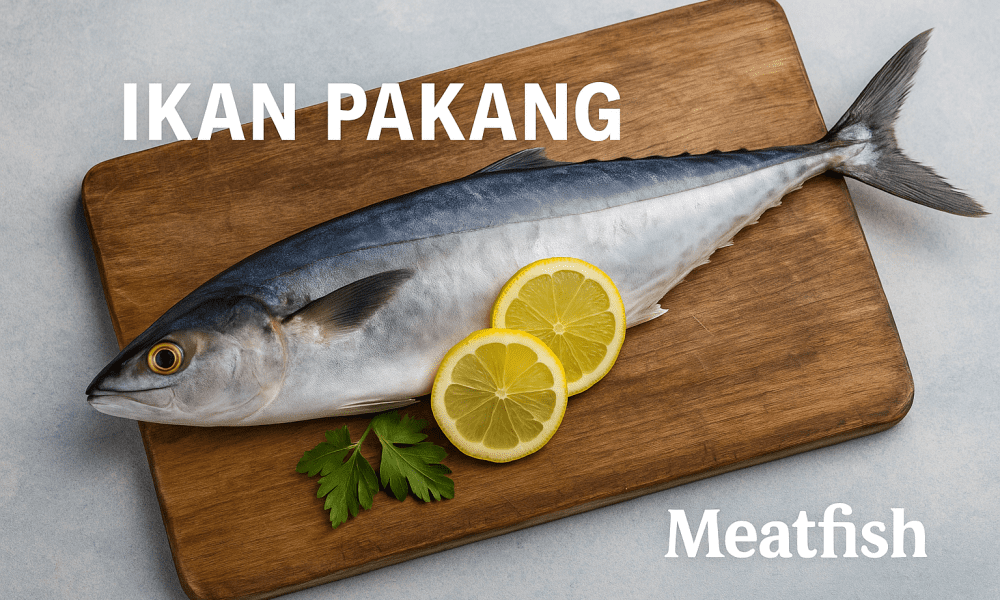 Ikan pakang
