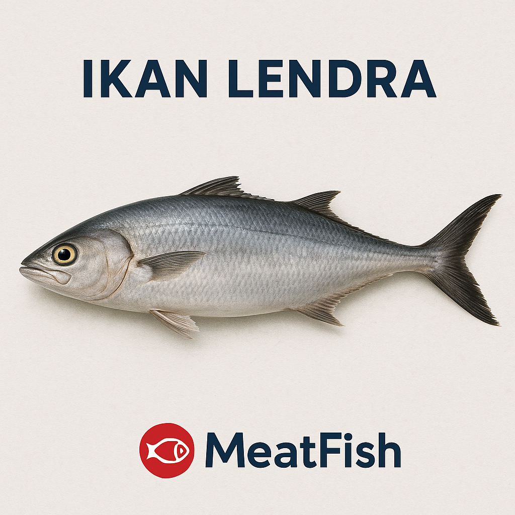Ikan lendra