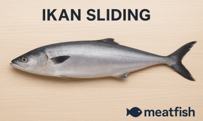Ikan sliding