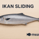 Ikan sliding