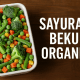 sayuran beku organik