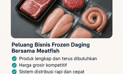 Paket usaha frozen daging