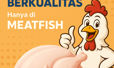 harga daging ayam seekor