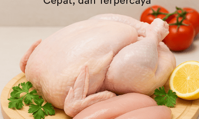 tempat jual ayam terdekat