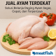 tempat jual ayam terdekat