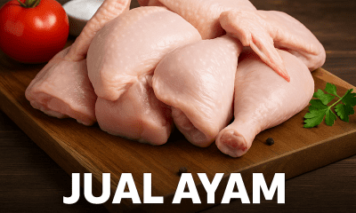Jual ayam potong segar