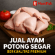 Jual ayam potong segar