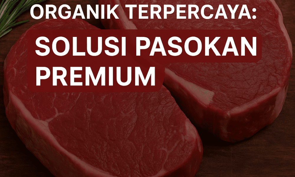 Supplier daging organik