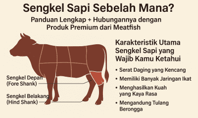 sengkel sapi