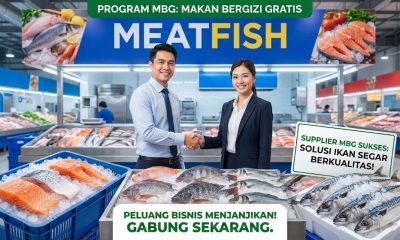 supplier mbg