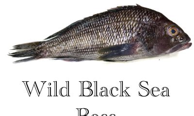 Harga sea bass Indonesia