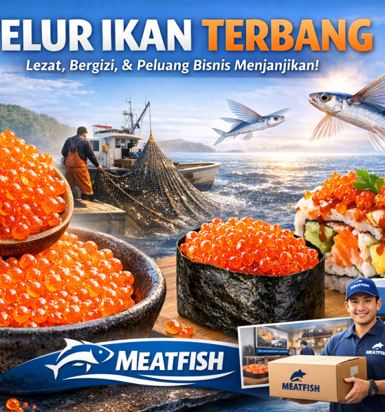 harga Telur ikan terbang