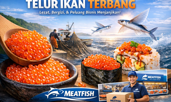 harga Telur ikan terbang