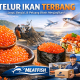 harga Telur ikan terbang