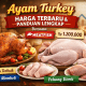 Ayam turkey