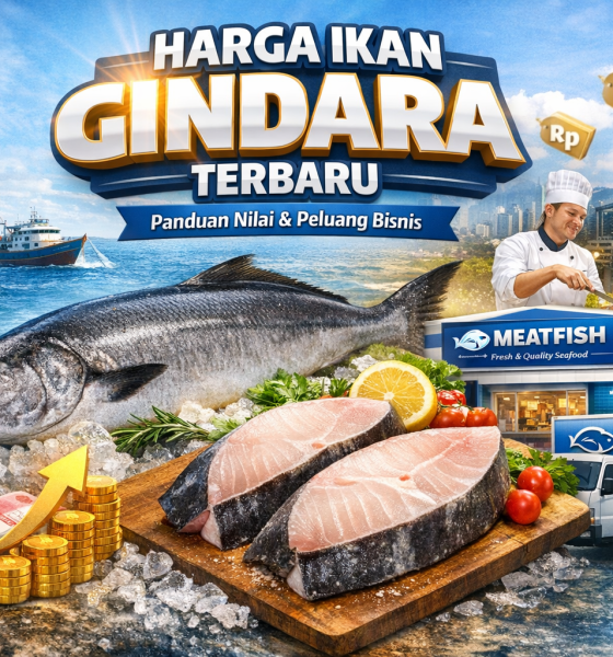 Harga ikan gindara