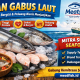 Ikan gabus laut