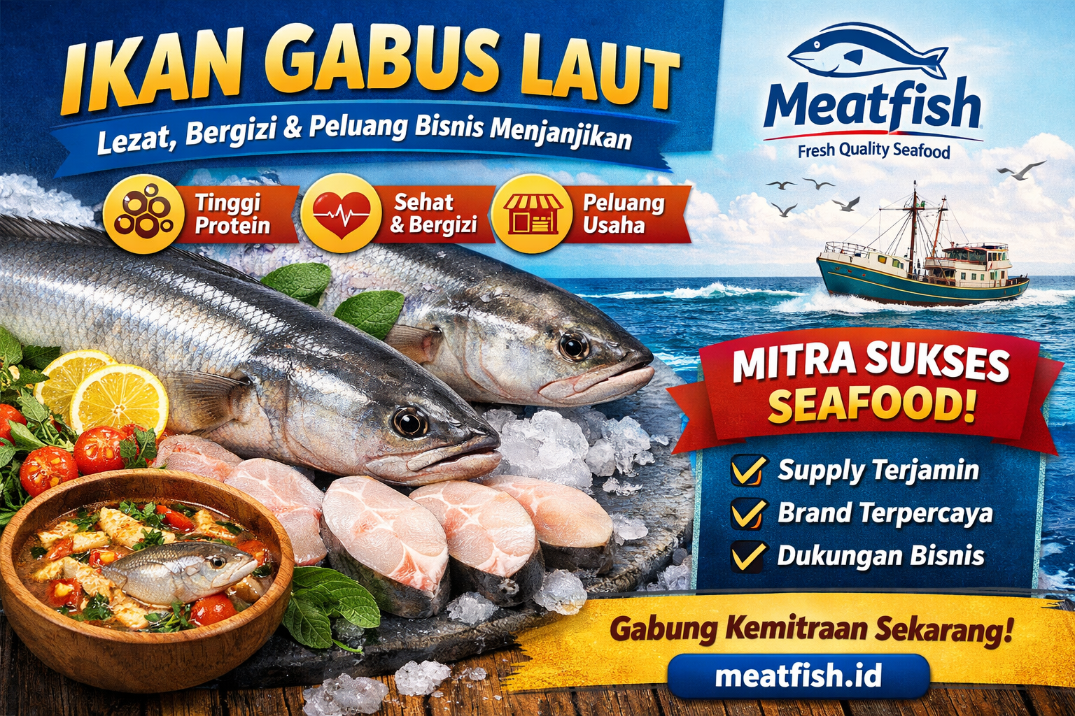 Ikan gabus laut