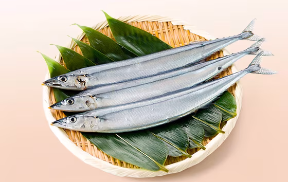Ikan sanma