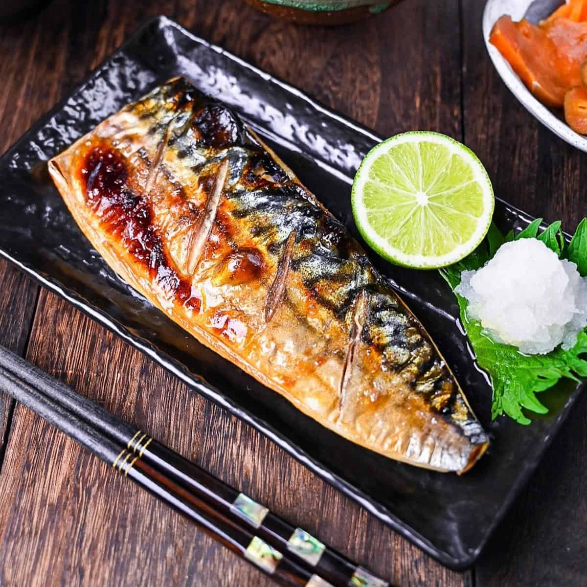 Saba mackerel