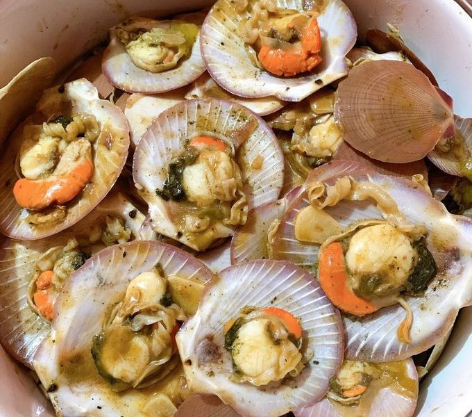 harga kerang sumping