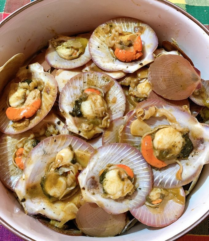 harga kerang sumping