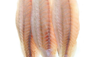 Ikan fillet terbaik untuk bisnis kuliner