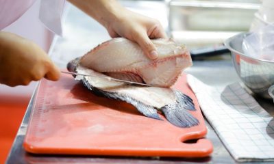 Perbedaan ikan dori lokal dan impor