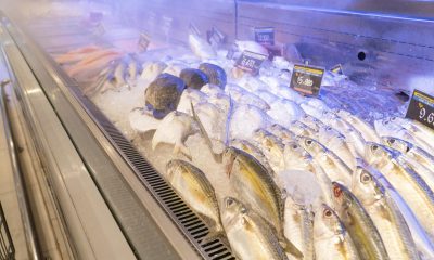 Ikan beku sering bikin masalah kualitas dan rasa