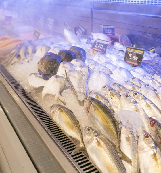 Ikan beku sering bikin masalah kualitas dan rasa
