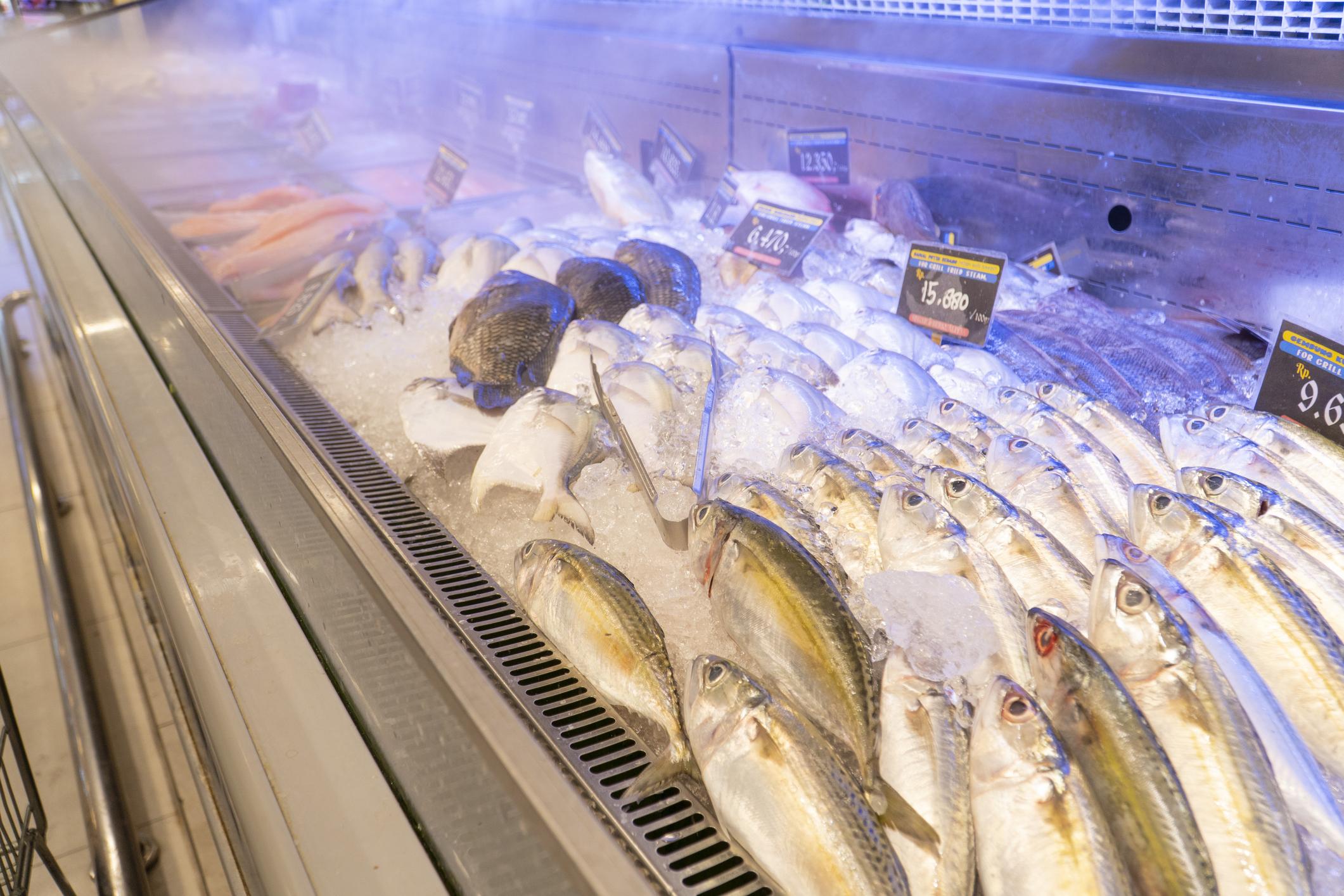 Ikan beku sering bikin masalah kualitas dan rasa