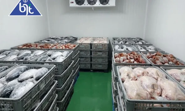 supplier ikan penting