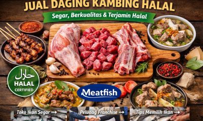 Jual daging kambing halal