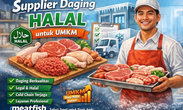 Supplier daging halal untuk UMKM