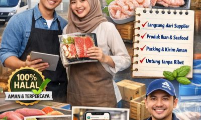 Daging halal dropship