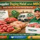 Supplier daging halal untuk MBG