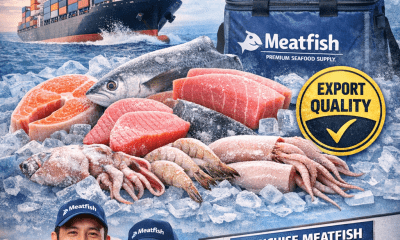 Ikan frozen kualitas ekspor