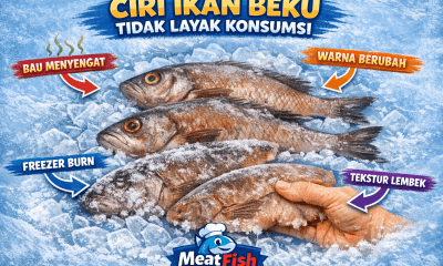 Ciri ikan beku tidak layak konsumsi