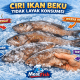 Ciri ikan beku tidak layak konsumsi