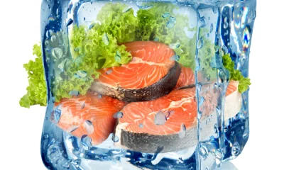 Fresh frozen vs frozen lama