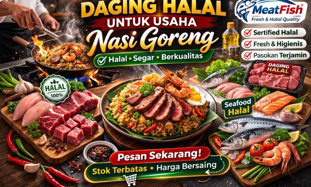 daging halal untuk usaha nasi goreng
