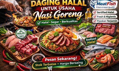 daging halal untuk usaha nasi goreng