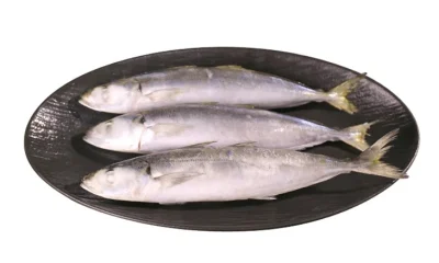 Efek makan ikan beku kualitas rendah